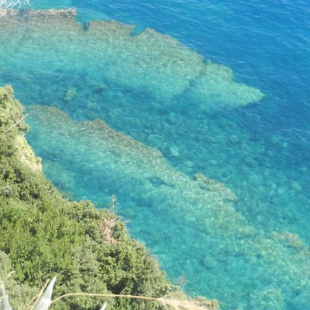 Sea View Garden Apartment Corniglia Exterior foto