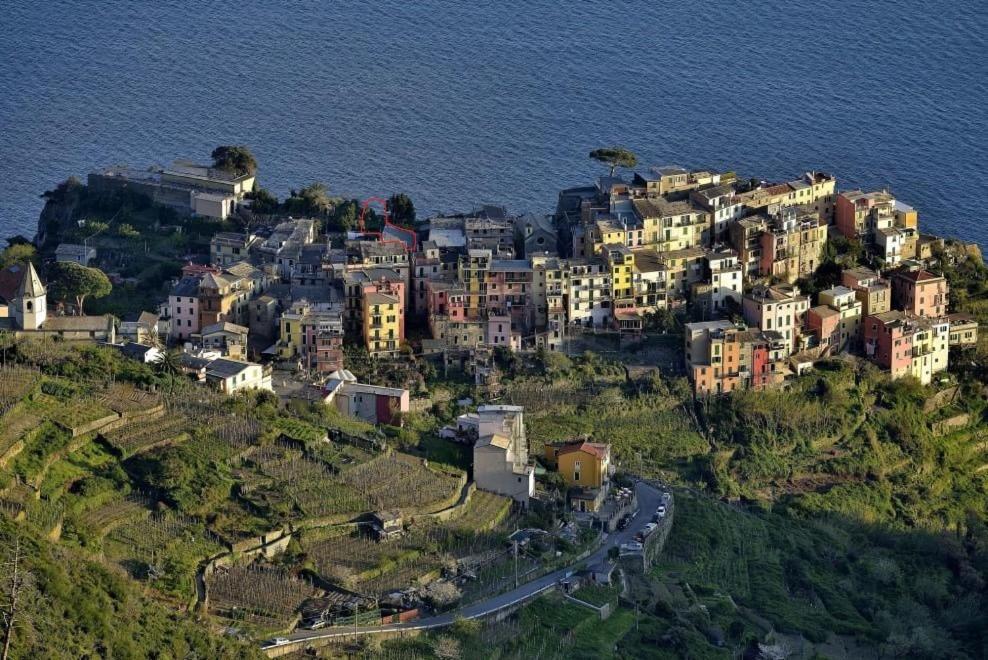 Sea View Garden Apartment Corniglia Exterior foto