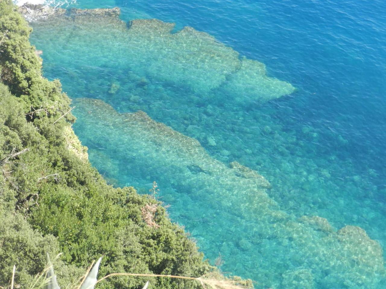 Sea View Garden Apartment Corniglia Exterior foto