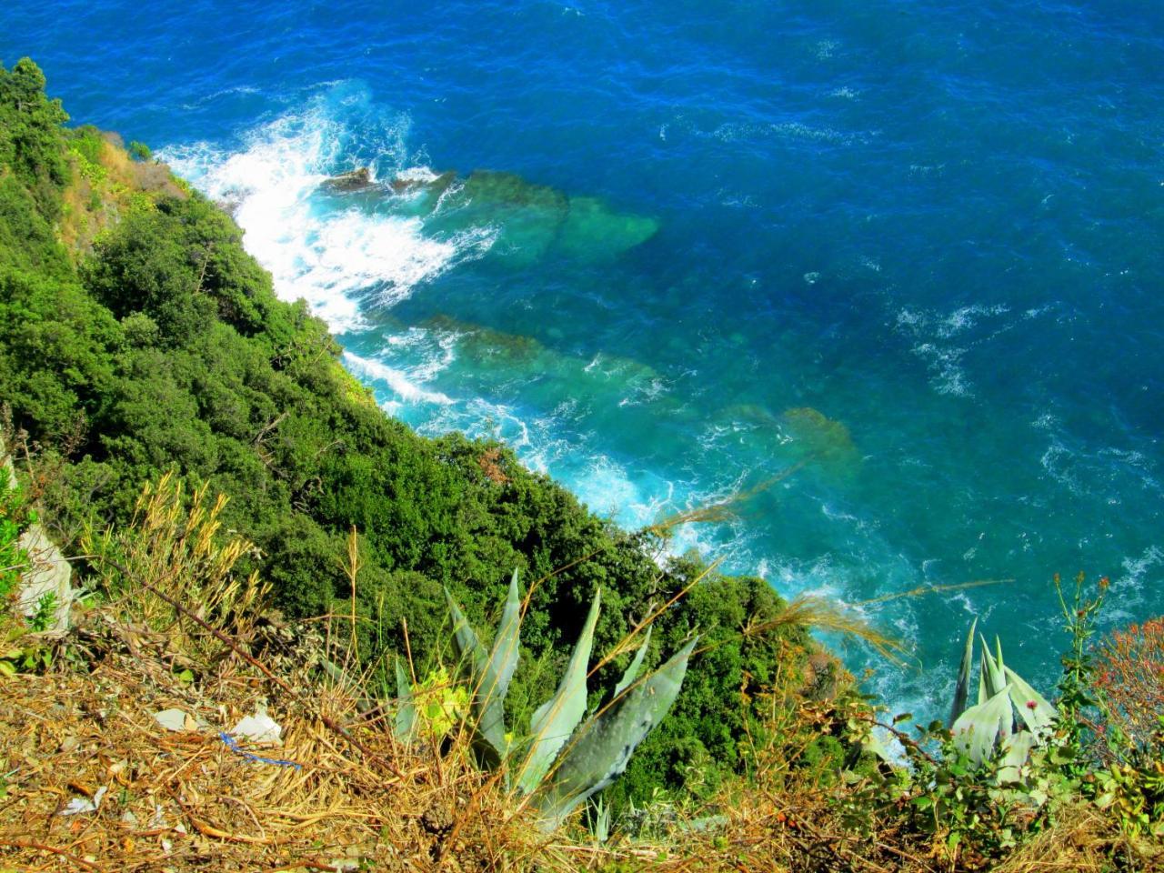 Sea View Garden Apartment Corniglia Exterior foto