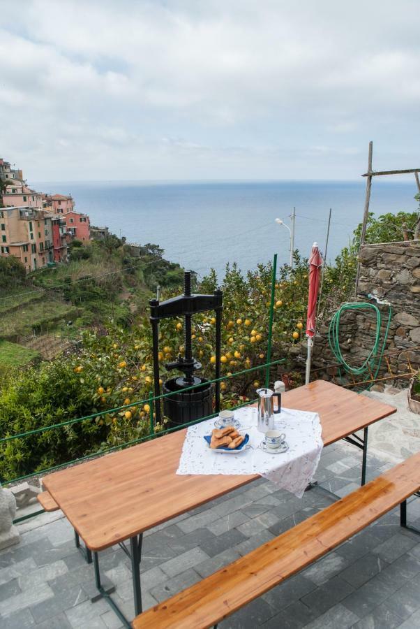 Sea View Garden Apartment Corniglia Exterior foto