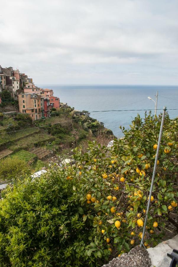 Sea View Garden Apartment Corniglia Exterior foto